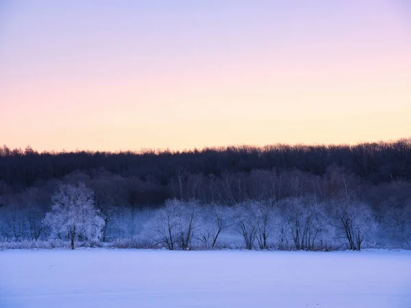 Frostbedeckter Baum Wintermorgen — Stockfoto