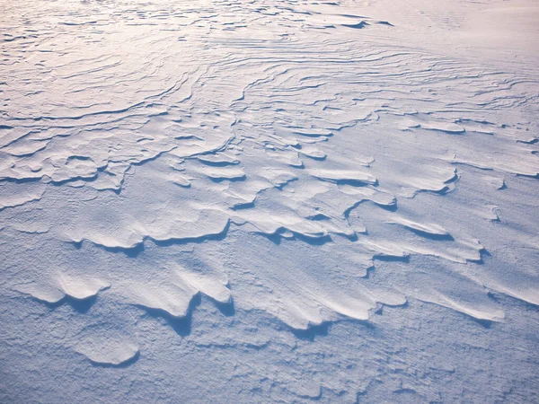 Snow Field Winter Hokkaido — Stock Photo, Image