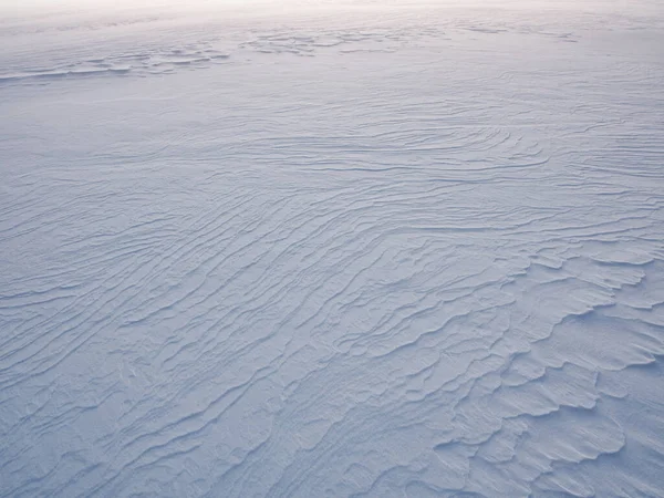 Snow Field Winter Hokkaido — Stock Photo, Image