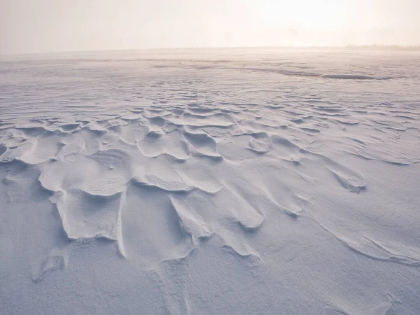 Pole Śniegu Zimie Hokkaido — Zdjęcie stockowe