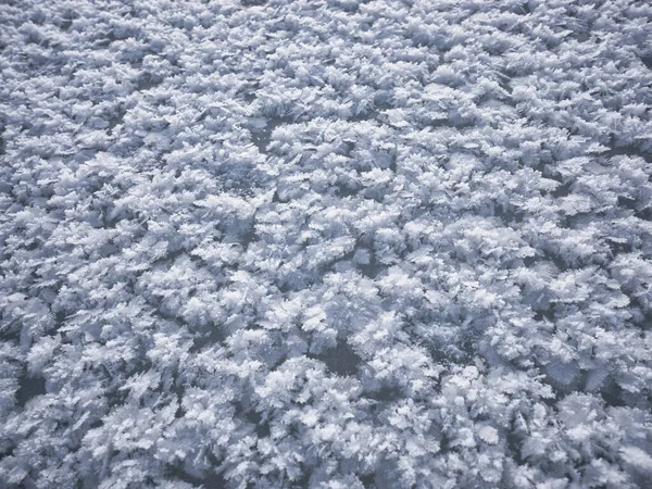 Frost Ground Cold Winter — Stock Photo, Image