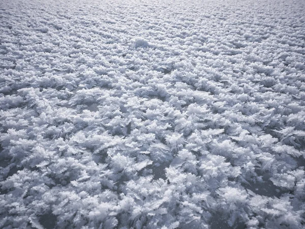 Frost Ground Cold Winter — Stock Photo, Image