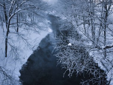 Buz kaplı ağaç ve soğuk sis