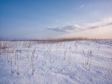 Deniz kenarındaki kar tarlası
