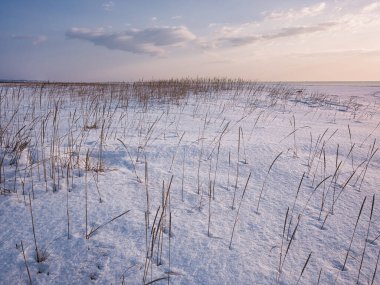 Deniz kenarındaki kar tarlası