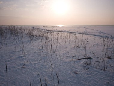 Deniz kenarındaki kar tarlası