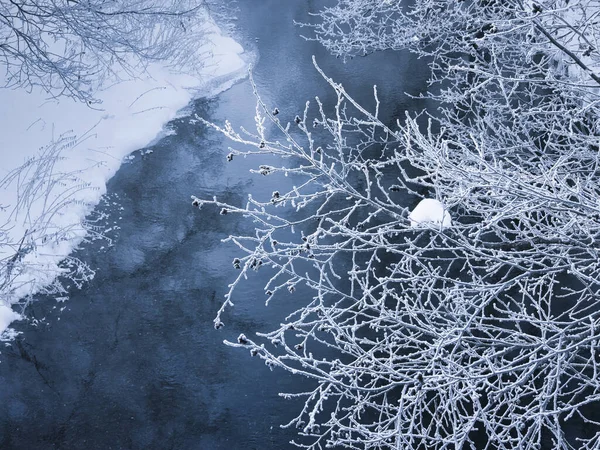 Mróz Pokryte Drzewo Mgła Zimna — Zdjęcie stockowe