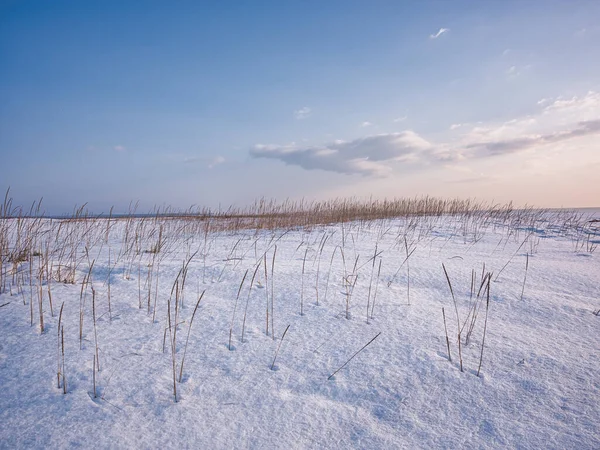 Campo Neve Perto Mar — Fotografia de Stock