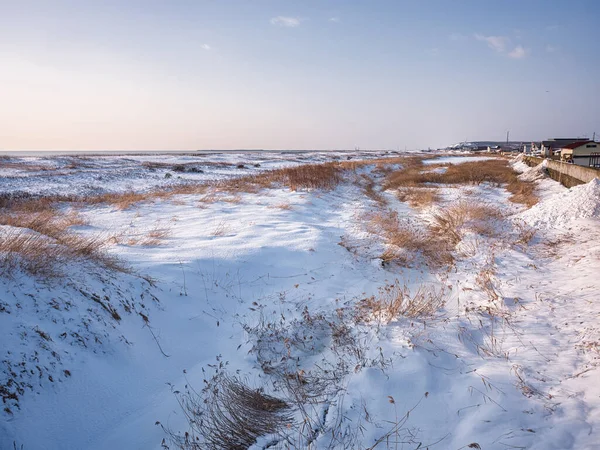 海の近くの雪原 — ストック写真