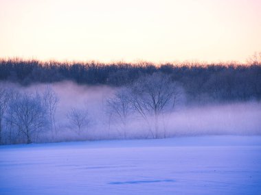 Buz kaplı tişört ve soğuk sis