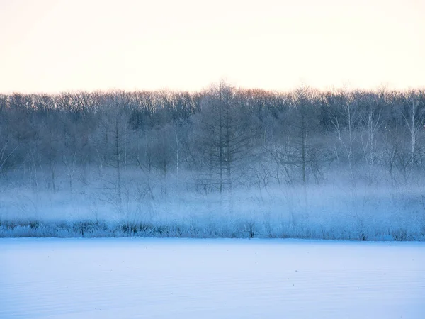Покрытый Морозом Чай Холодный Туман — стоковое фото