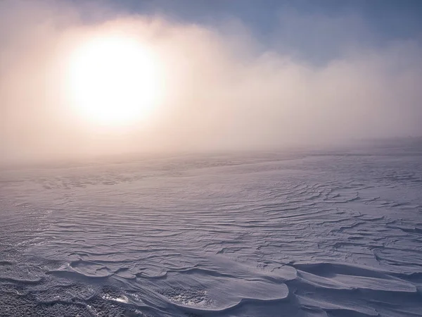 Κρύο Ομίχλη Και Νεκρό Δέντρο Πρωί Του Χειμώνα — Φωτογραφία Αρχείου