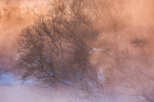 Kalter Nebel Von Der Otowa Brücke — Stockfoto