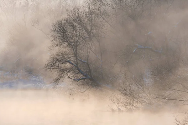 Kalter Nebel Von Der Otowa Brücke — Stockfoto