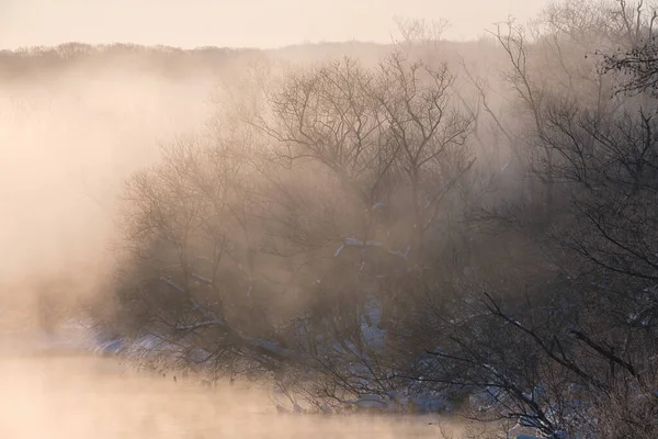 Kalter Nebel Von Der Otowa Brücke — Stockfoto