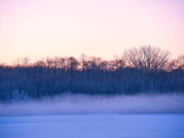 Hokkaido 'da soğuk sis ve şafak