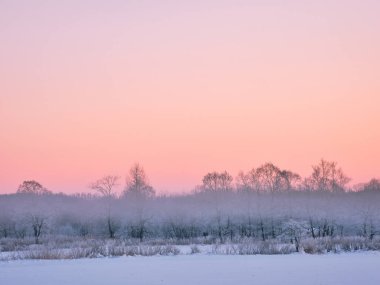 Hokkaido 'da soğuk sis ve şafak