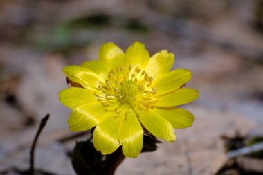 Arkaplan için girdap derecelendirme kağıdı 