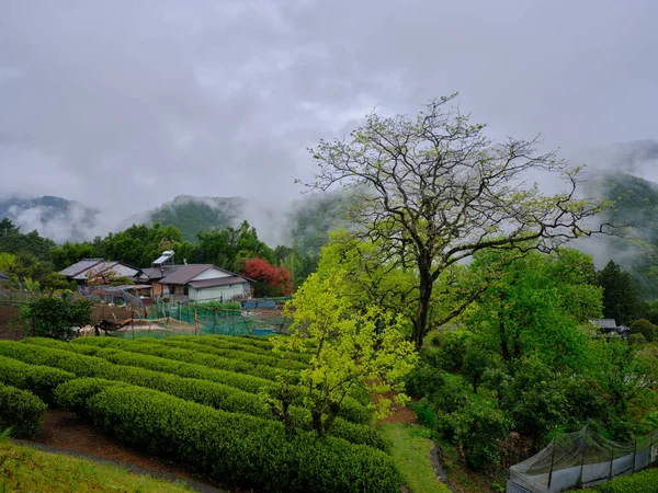 Japanische Landschaft Wakayama — Stockfoto