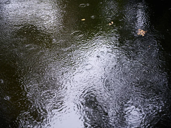 Raindrops Falling Puddle — Stock Photo, Image