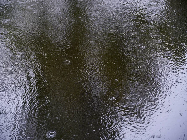 Regentropfen Fallen Eine Pfütze — Stockfoto