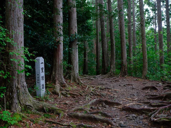 Kumano Kodo Wakayama Japan — стокове фото