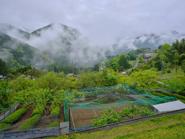 Japanese Countryside Landscape Wakayama — Stock Photo, Image