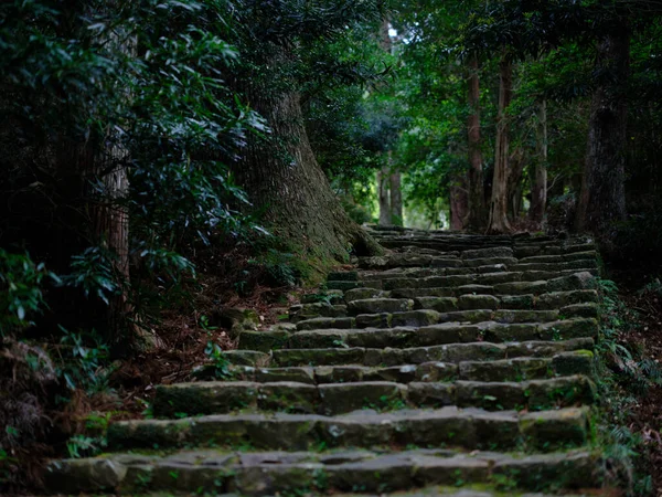 Kumano Kodo Japonii Wakayama — Zdjęcie stockowe