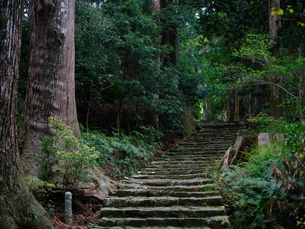 Kumano Kodo Wakayama Japão — Fotografia de Stock