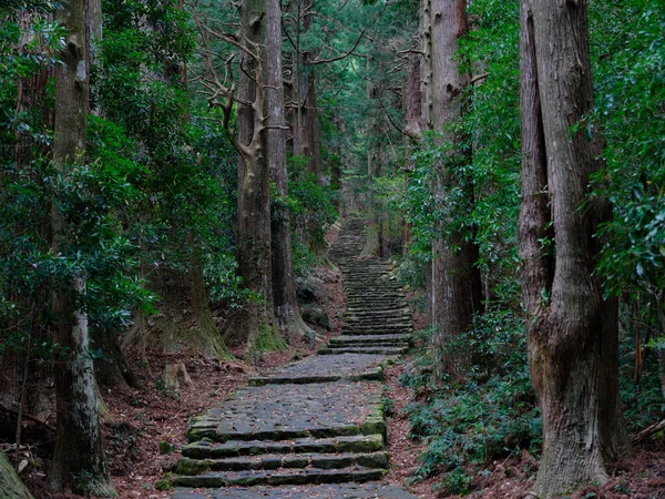 Kumano Kodo Wakayama Japón —  Fotos de Stock