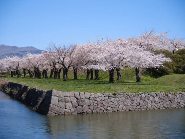 hakodate içinde beş taraflı güçlendirme