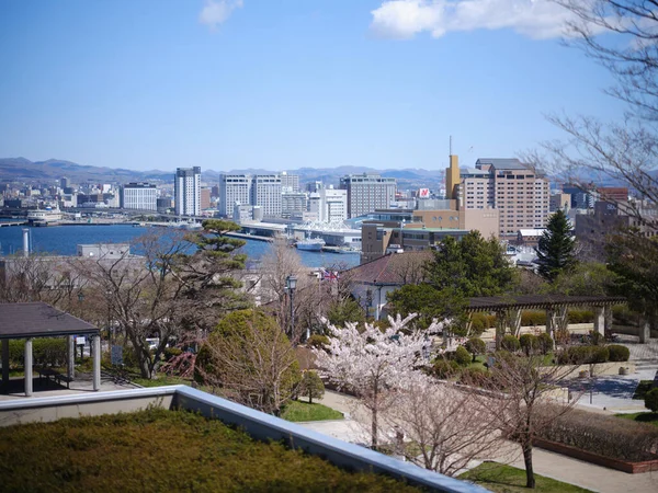 Hakodate Stad Hokkaido Japan — Stockfoto