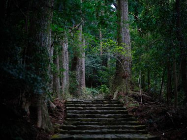 kumano kodo in wakayama japan