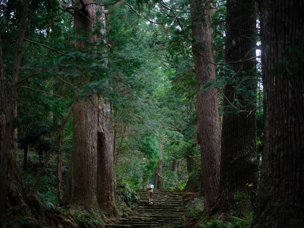 Kumano Kodo Wakayama Japan — Foto Stock