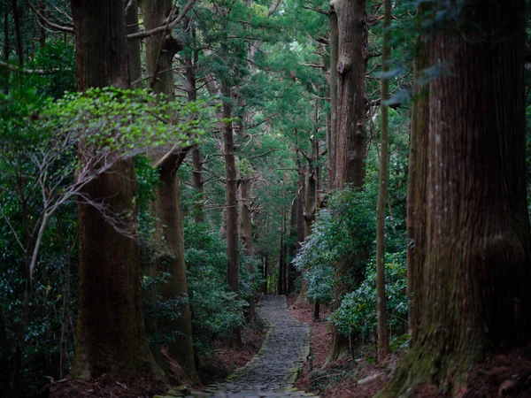 Kumano Kodo Wakayama Japón —  Fotos de Stock