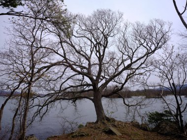 Hakodate Hokkaido 'daki onuma parkı.