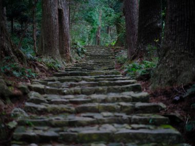 kumano kodo in wakayama japan