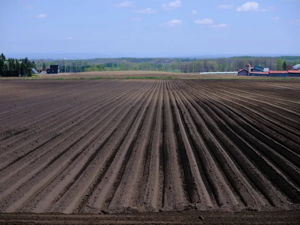 Champ Agriculture Printemps Hokkaido — Photo