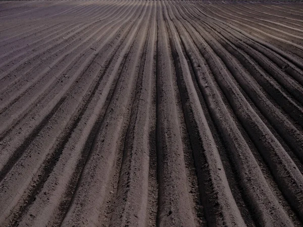 Campo Agricultura Primavera Hokkaido — Fotografia de Stock