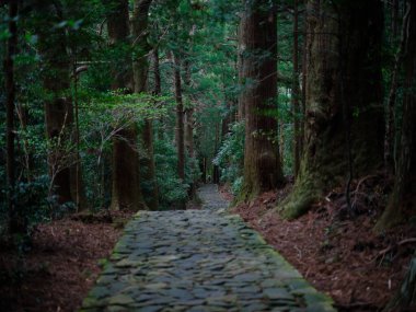 kumano kodo in wakayama japan