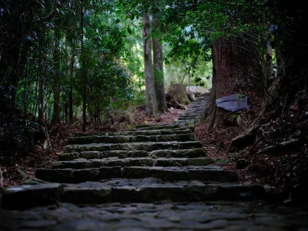 Kumano Kodo Wakayama Japón —  Fotos de Stock