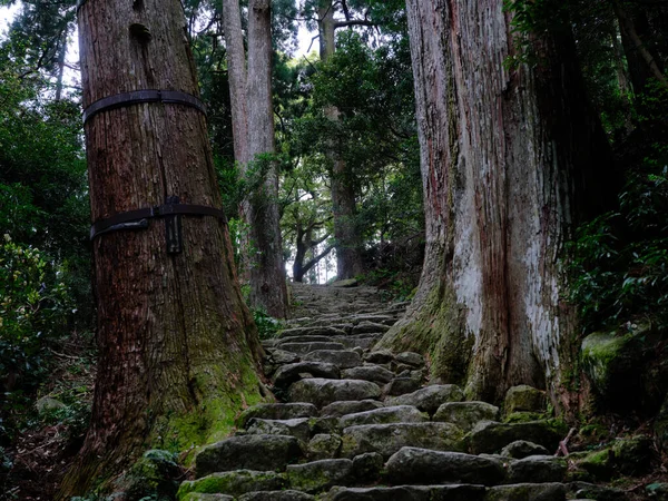 Kumano Kodo Wakayama Japánban — Stock Fotó