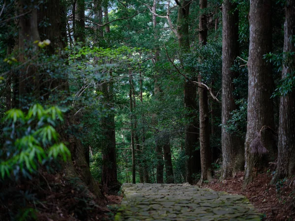 Kumano Kodo Wakayama Japón —  Fotos de Stock