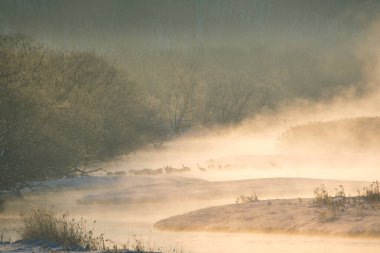 Otowa Köprüsü 'nden soğuk sis