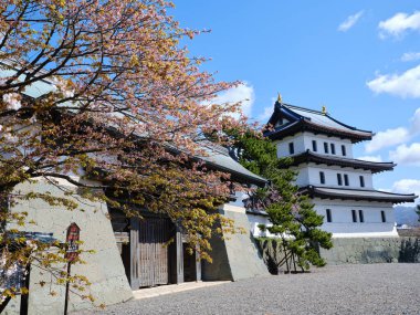 matsumae kalesi ve kiraz çiçekleri