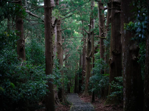 Kumano Kodo Wakayama Japon — Photo