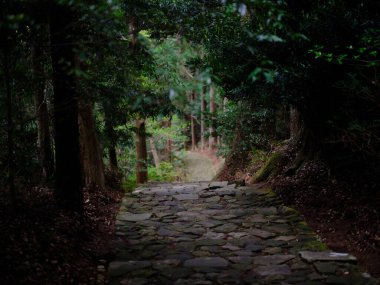 kumano kodo in wakayama japan