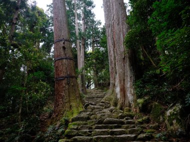 kumano kodo in wakayama japan