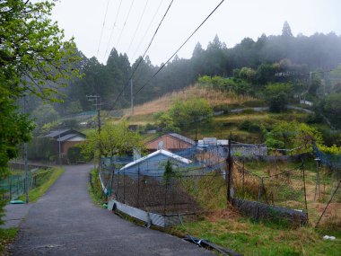  Wakayama 'daki Japon kırsal alanı