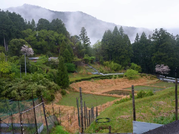 Wakayama的日本农村景观 — 图库照片